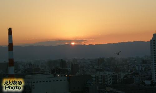 ホテルニューオータニ大阪から見た朝陽