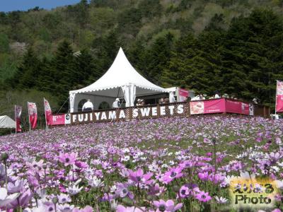 FUJIYAMA SWEETS＠富士芝桜まつり2015