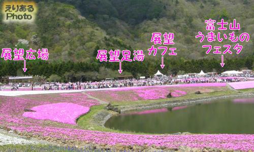 富士芝桜まつり2015