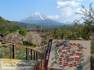 西湖いやしの里根場と富士山