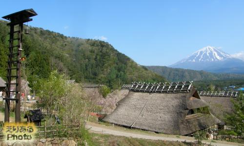 西湖いやしの里根場と富士山