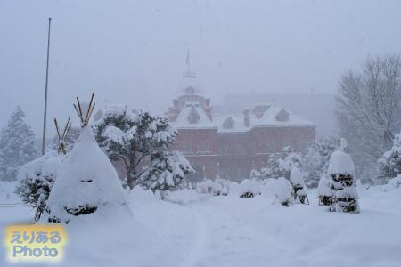 大雪の北海道庁旧本庁舎