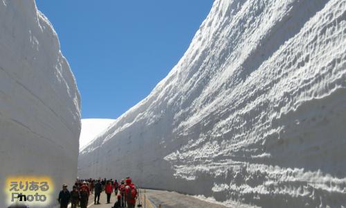 立山・雪の大谷ウォーク