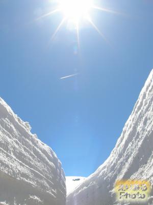 立山・雪の大谷ウォーク