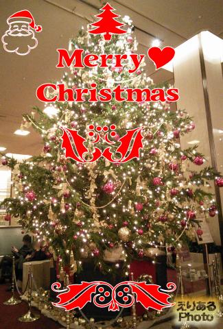 Merry Christmas 2015 帝国ホテルのクリスマスツリー