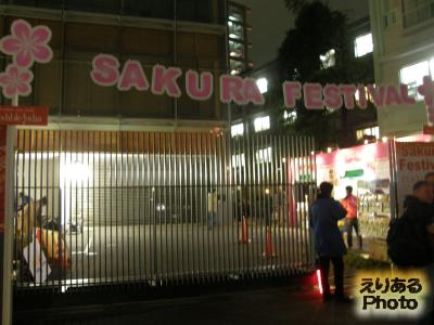 SAKURA FESTIVAL 2016（さくらフェスティバル2016)