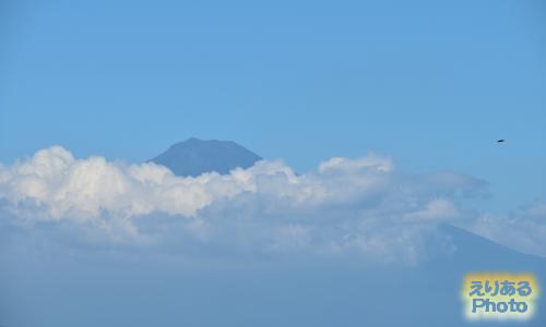 三保の松原から富士山を望む