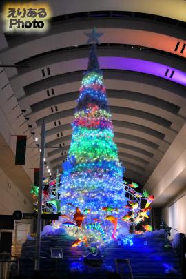 クイーンズスクエア横浜クリスマス2016