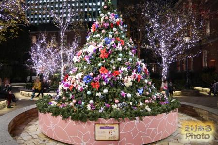Marunouchi Bright Christmas 2016 「花の精のワルツ」