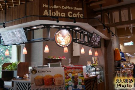 Alopha Cafe