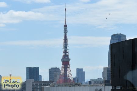 屋上庭園「GINZA SIX ガーデン」から望む東京タワー