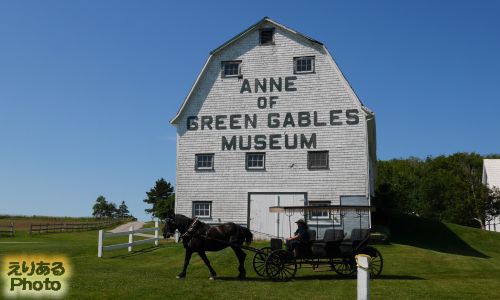 Anne of Green Gables Museum（グリーンゲイブルス博物館）
