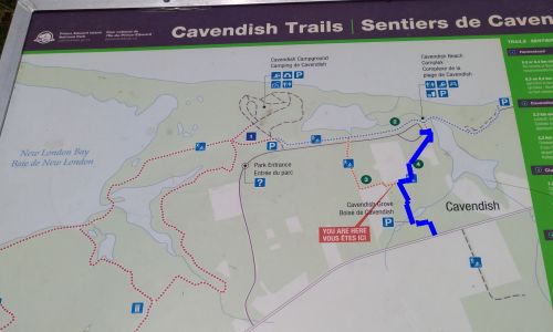 Cavendish Trails（キャベンディッシュ小道）