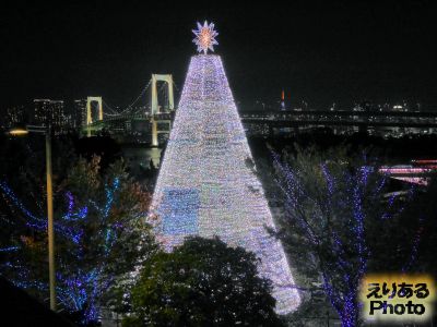 お台場イルミネーション“YAKEI”～ピングー クリスマスVer.～