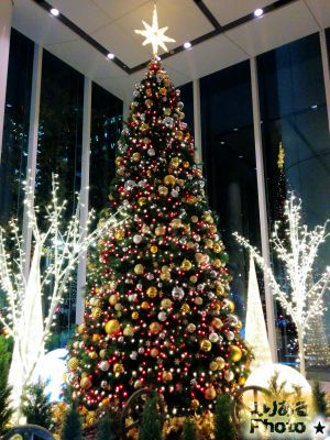 パシフィックセンチュリープレイス丸の内のクリスマスイルミネーション2017