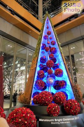 Marunouchi Bright Christmas 2017－Blooming Anniversary～花で彩るクリスマス～－