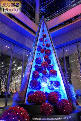 Marunouchi Bright Christmas 2017－Blooming Anniversary～花で彩るクリスマス～－