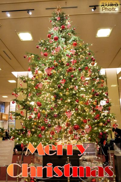 ☆Merry Christmas 2017☆ ～帝国ホテルのクリスマスツリー～