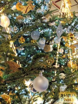金沢駅のクリスマスツリー2018