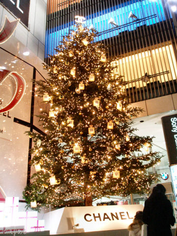 2005年のソニービルのクリスマスツリー
