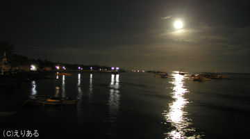 月夜の海
